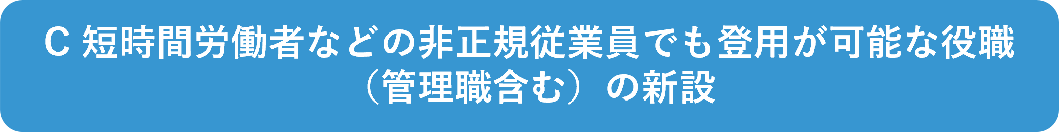 C 短時間労働者などの非正規従業員でも登用が可能な役職(管理職含む)の新設